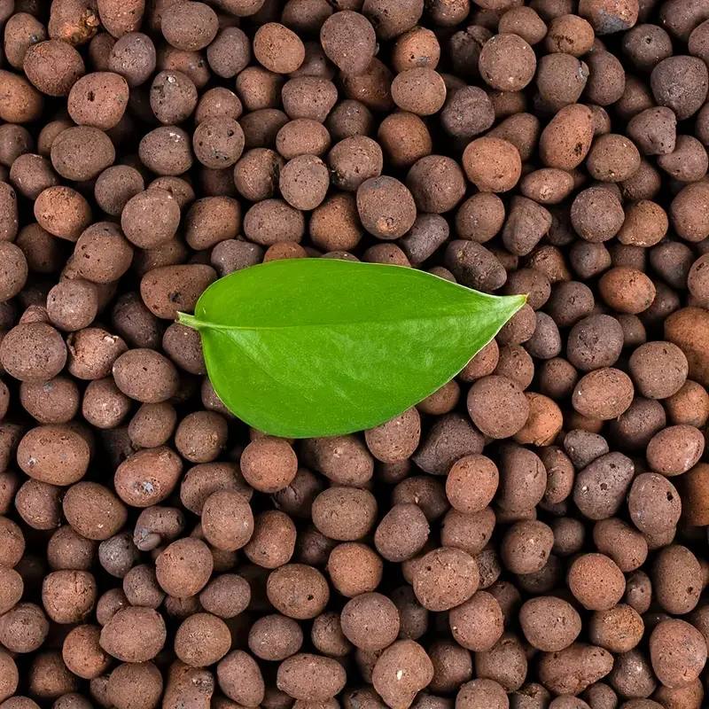 Sphagnum Moss Bag - 500 g/opakowanieGarden Hydroponic Expanded Clay Pebbles15mm-20mm