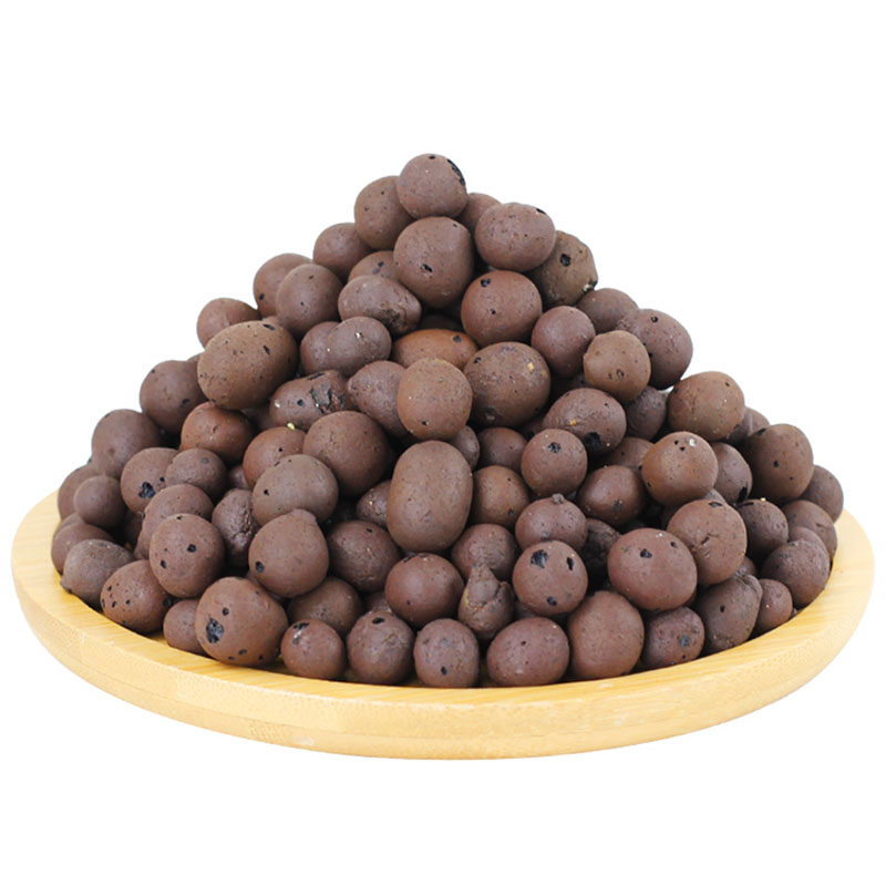 Sphagnum Moss Bag - 500g organiczne światło ceramiczne kamyczki gliniane