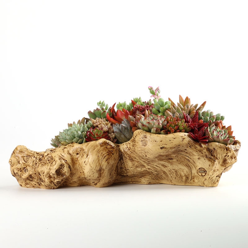 Styl duszpasterski Retro krajo – Japanese Garden Bonsai recenzja i cena