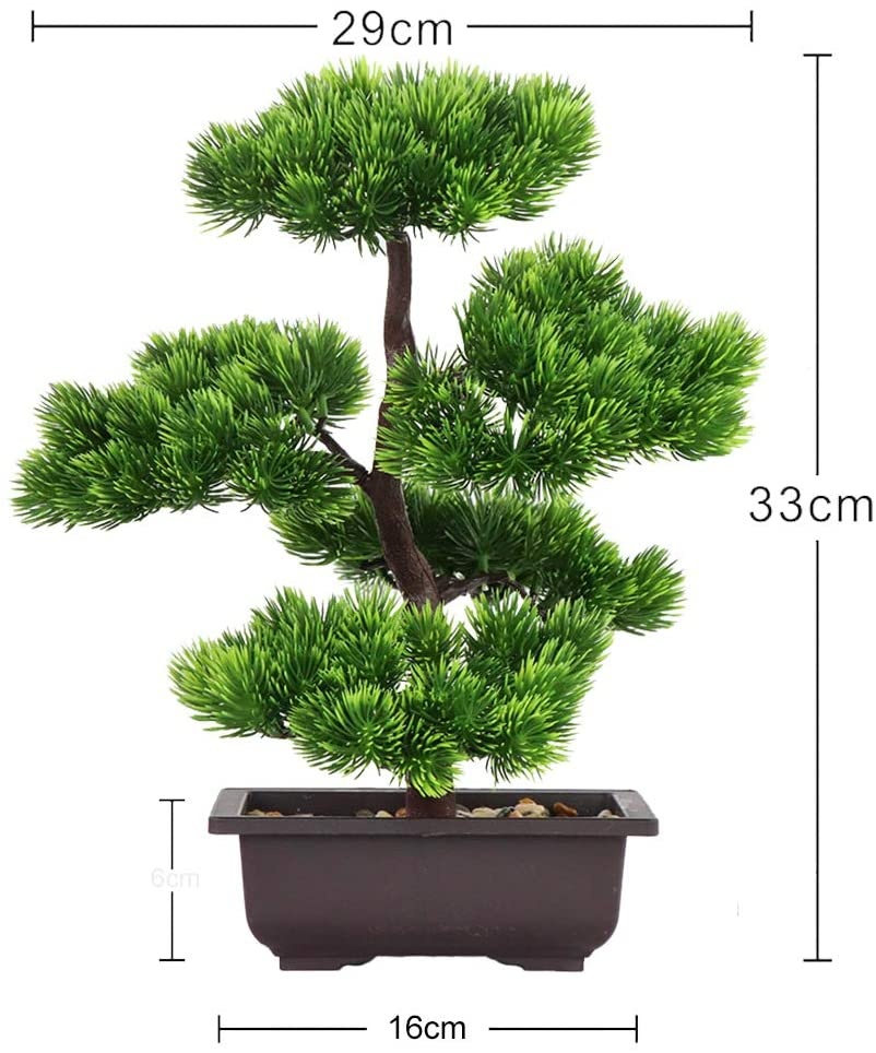 Japońska sosna bonsai do dekor – Japanese Garden Bonsai recenzja i cena