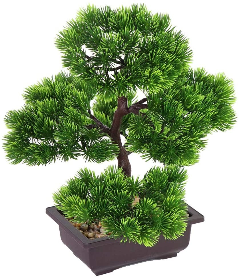 Japońska sosna bonsai do dekor – Japanese Garden Bonsai recenzja i cena