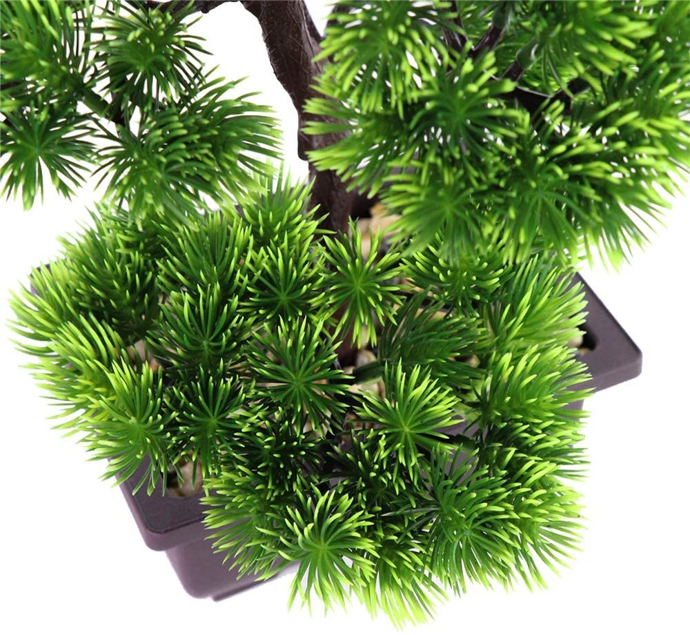 Japońska sosna bonsai do dekor – Japanese Garden Bonsai recenzja i cena