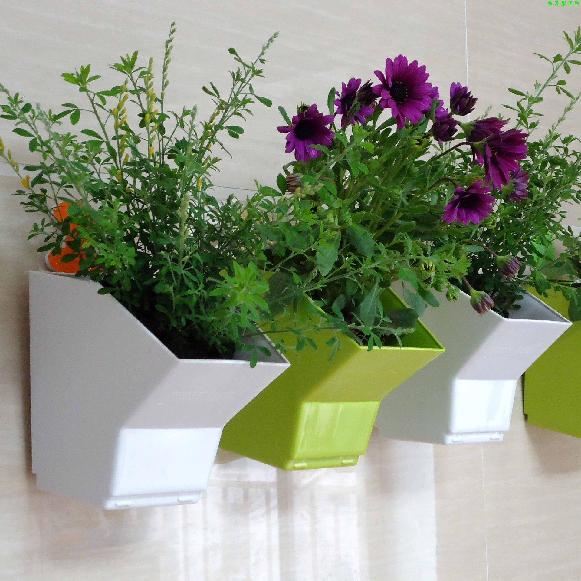 2 szt. Wiszące doniczki ścienn – Bonsai Vertical Garden recenzja i cena