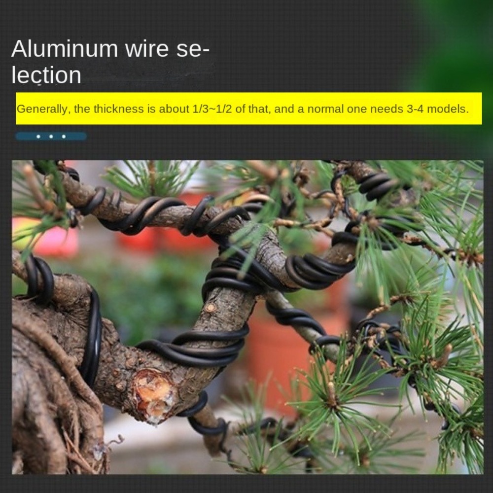 Aluminiowa drut do bonsai, dru – Bonsai Garden Tools recenzja i cena