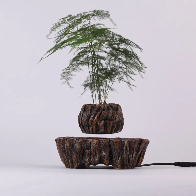 Elektryczna magnetyczna lewita – Bonsai Vertical Garden recenzja i cena