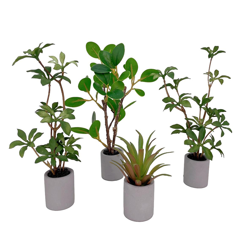 1:6 domek dla lalek miniaturow – Bonsai Garden House recenzja i cena