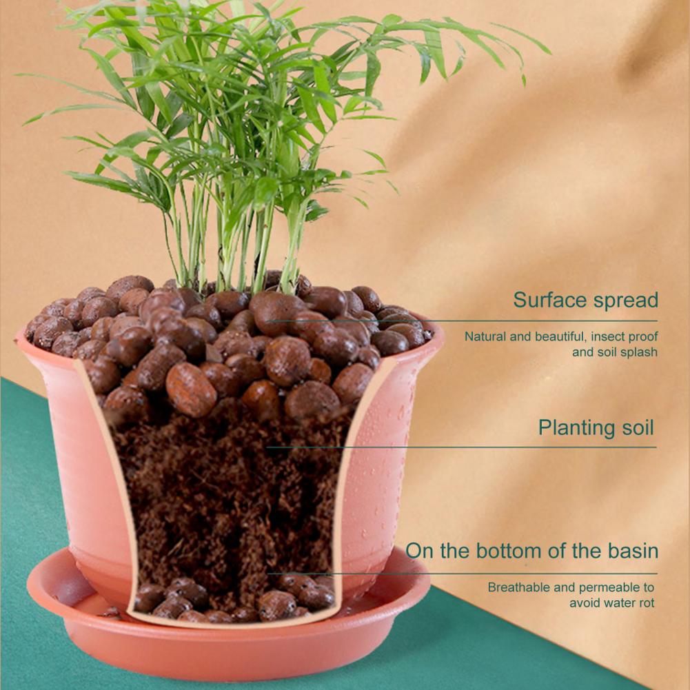 Kamienie gliniane do roślin 1, – Sphagnum Moss Bag recenzja i cena