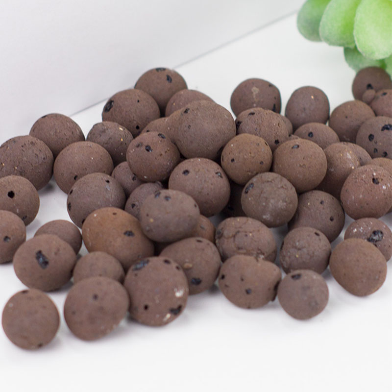500g organiczne światło cerami – Sphagnum Moss Bag recenzja i cena