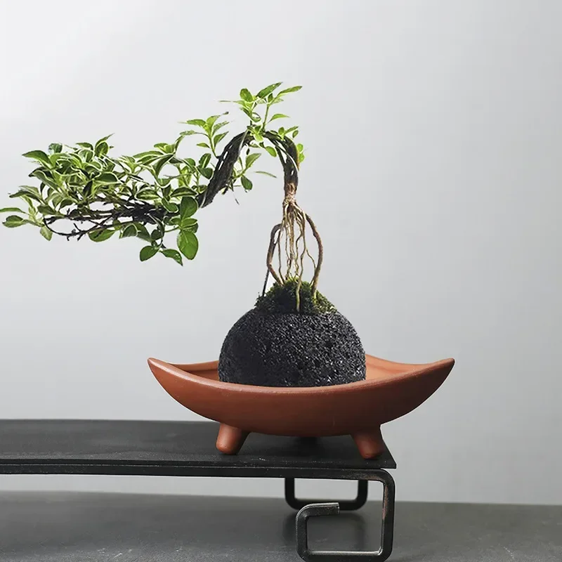 Spersonalizowane ceramiczne do – Japanese Garden Bonsai recenzja i cena