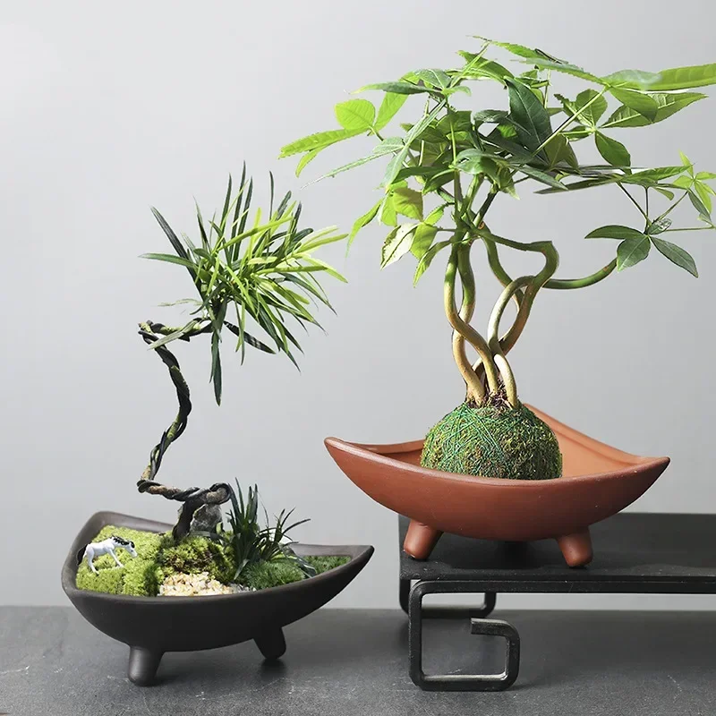 Spersonalizowane ceramiczne do – Japanese Garden Bonsai recenzja i cena