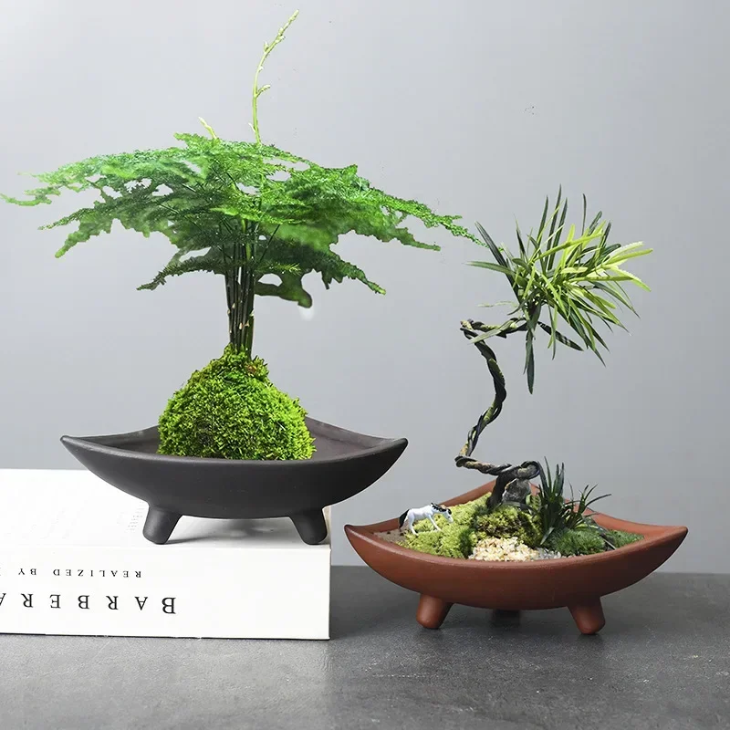 Spersonalizowane ceramiczne do – Japanese Garden Bonsai recenzja i cena