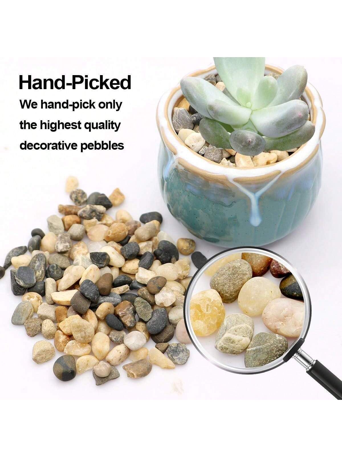 River Rocks Stones Naturalne d – Sphagnum Moss Bag recenzja i cena