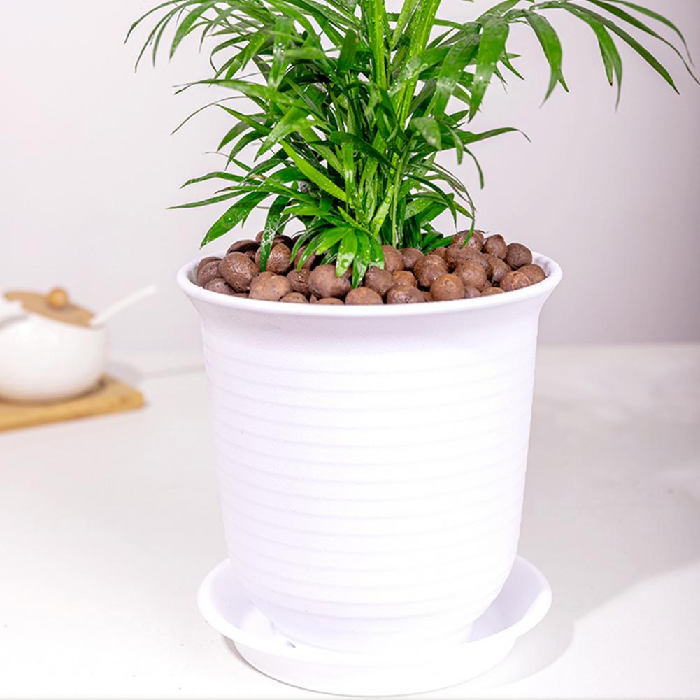 Lekkie hydroponiczne kuleki gl – Sphagnum Moss Bag recenzja i cena
