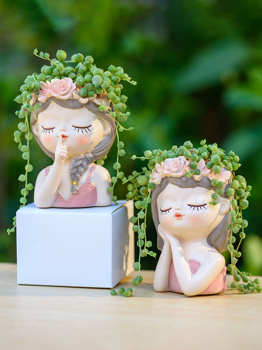 Wróżka Sukulenty Sadzarki Doni – Japanese Garden Bonsai recenzja i cena