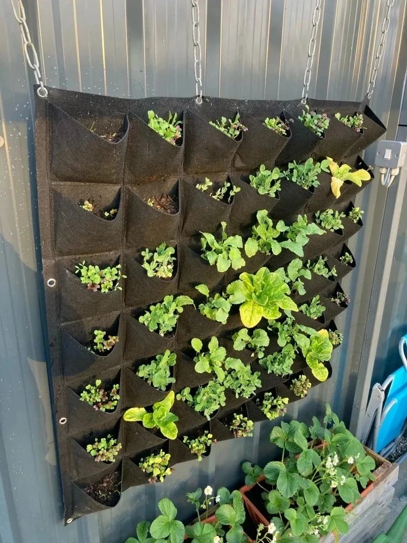 Wisząca doniczka na rośliny z  – Bonsai Vertical Garden recenzja i cena