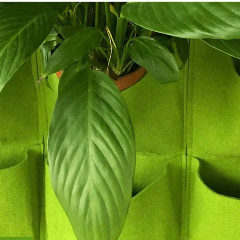Wisząca doniczka na rośliny z  – Bonsai Vertical Garden recenzja i cena