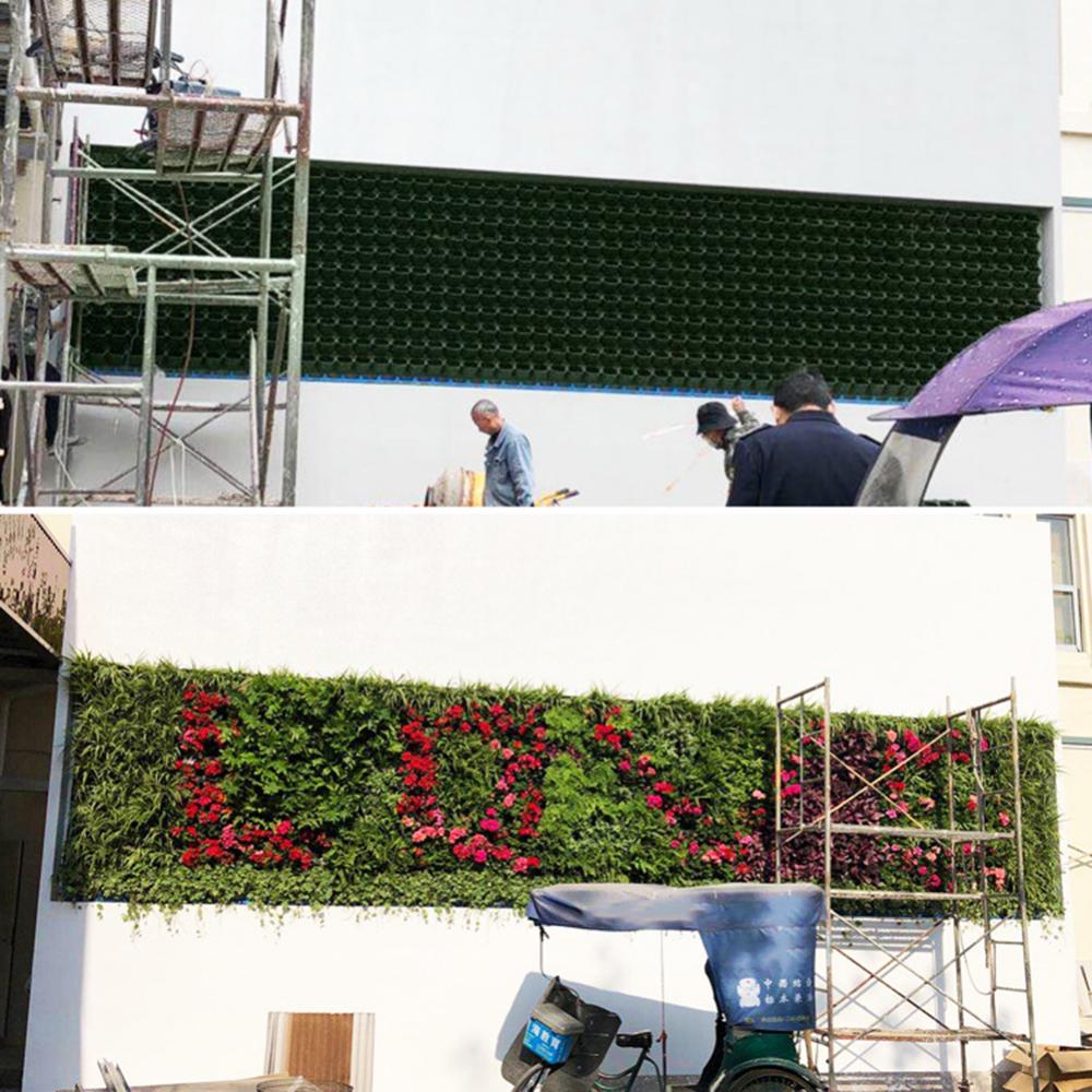 Naścienna skrzynka leśna z wie – Bonsai Vertical Garden recenzja i cena